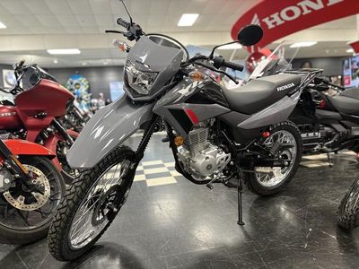 2025 Honda XR150L - Photo 3