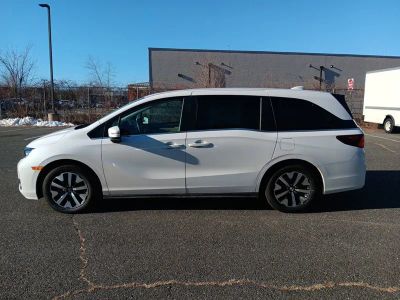 2025 Honda Odyssey EX-L Auto - Photo 3