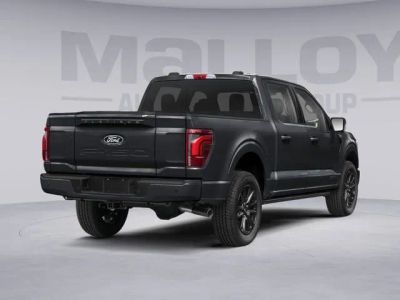 2025 Ford F-150 - Photo 10