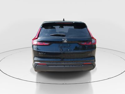 2025 Honda CR-V - Photo 6