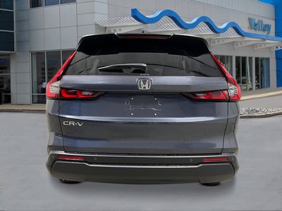 2026 Honda CR-V - Photo 4