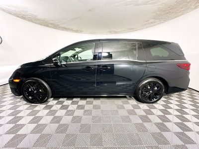 2025 Honda Odyssey - Photo 6