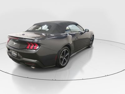 2024 Ford Mustang - Photo 7