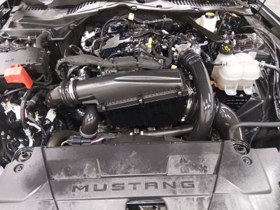 2024 Ford Mustang - Photo 9