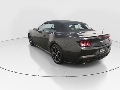 2024 Ford Mustang - Photo 5