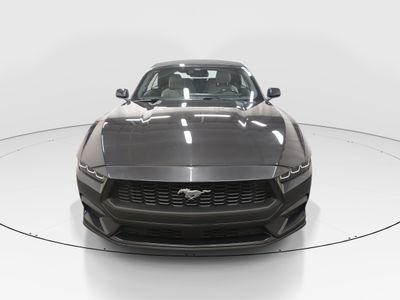 2024 Ford Mustang - Photo 2