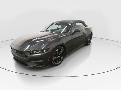 2024 Ford Mustang - Photo 3