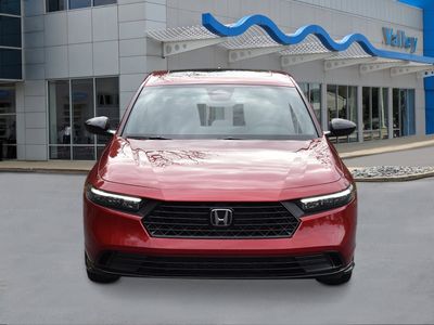 2026 Honda Accord Hybrid — photo 8 view
