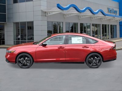 2026 Honda Accord Hybrid — side profile view