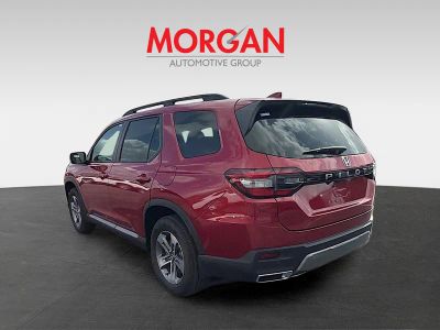 2026 Honda Pilot — detail view