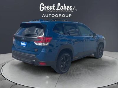 2023 Subaru Forester — detail view