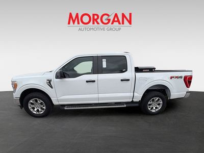 2022 Ford F-150 - Photo 6