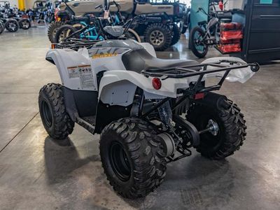 2024 Yamaha Grizzly 90 - Photo 9