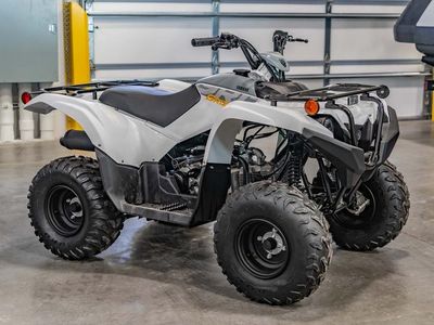 2024 Yamaha Grizzly 90 - Photo 1