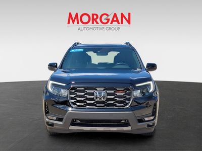 2023 Honda Passport - Photo 2