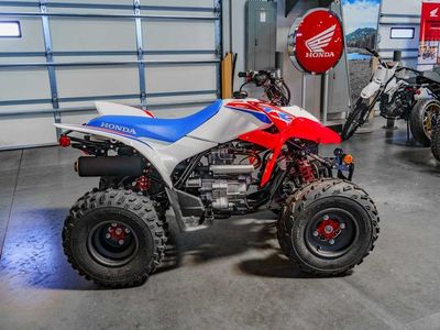 2026 Honda TRX250X - Photo 3