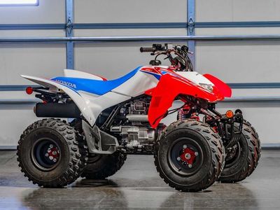 2026 Honda TRX250X - Photo 1