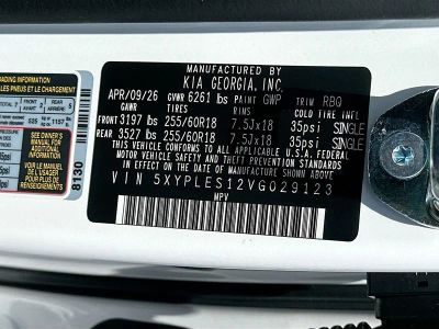 2027 Kia Telluride — photo 35 view