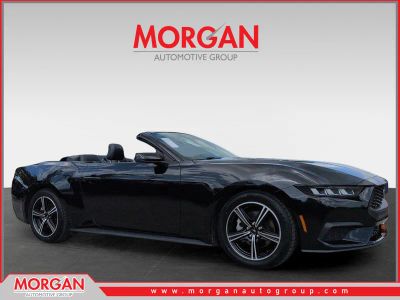 2024 Ford Mustang EcoBoost Premium in Black — front three-quarter view