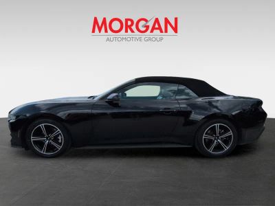 2024 Ford Mustang — photo 8 view