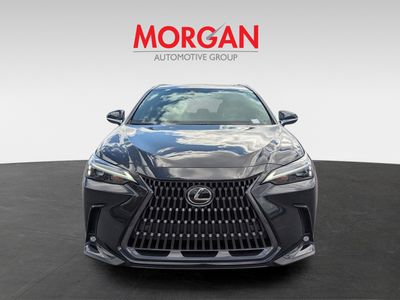 2026 Lexus NX — side profile view