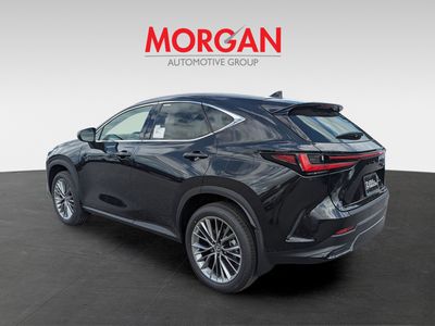 2026 Lexus NX — engine compartment view