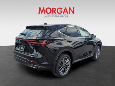 2026 Lexus NX — interior view
