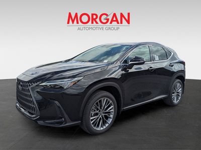 2026 Lexus NX — rear three-quarter view