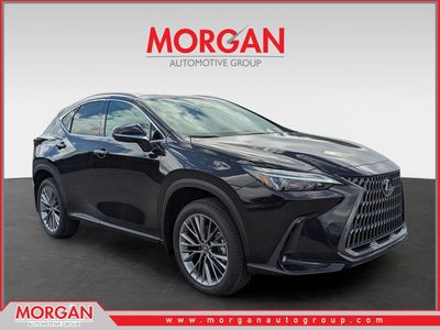 2026 Lexus NX 350h Premium in Caviar — front three-quarter view