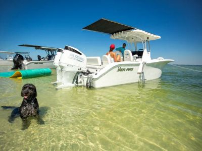 2026 Sea Pro 265 FLX Sandbar - Photo 9