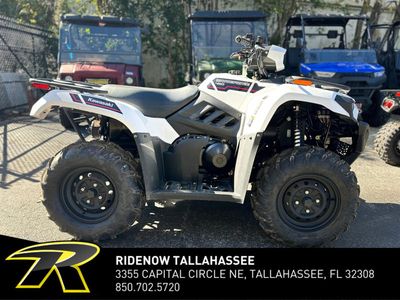 2025 Kawasaki Brute Force 450 4x4 - Photo 6