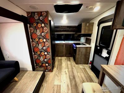 2021 Venture RV Sonic — detail view