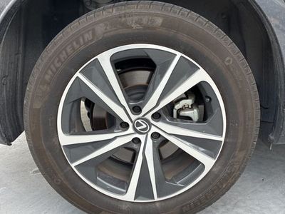 2024 Lexus RX - Photo 14