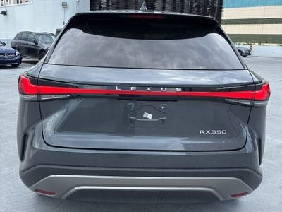 2024 Lexus RX - Photo 8