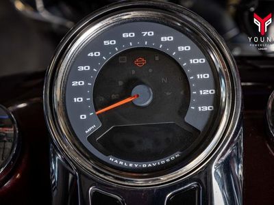 2018 Harley-Davidson FLSB - Softail Sport Glide - Photo 18