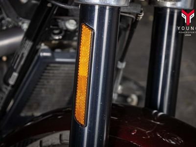 2018 Harley-Davidson FLSB - Softail Sport Glide - Photo 3