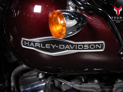 2018 Harley-Davidson FLSB - Softail Sport Glide - Photo 4