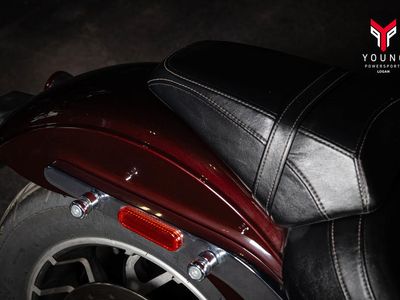2018 Harley-Davidson FLSB - Softail Sport Glide - Photo 9