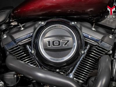2018 Harley-Davidson FLSB - Softail Sport Glide - Photo 8