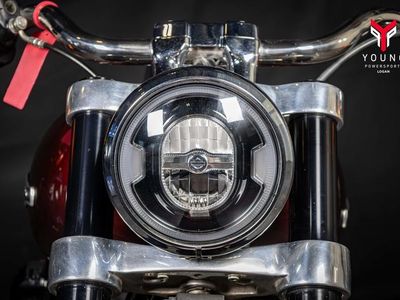 2018 Harley-Davidson FLSB - Softail Sport Glide - Photo 5