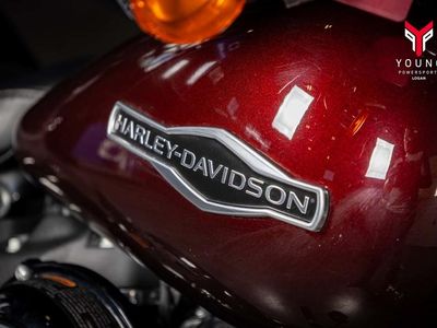 2018 Harley-Davidson FLSB - Softail Sport Glide - Photo 7