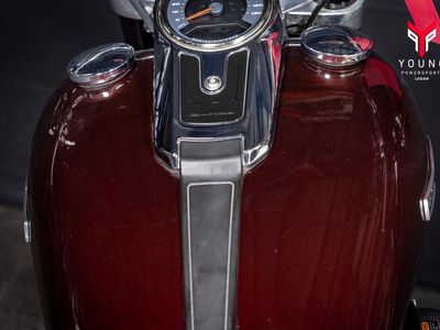 2018 Harley-Davidson FLSB - Softail Sport Glide - Photo 15