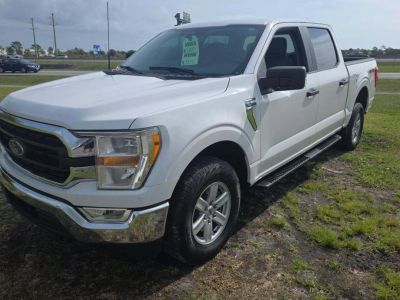 2021 Ford F-150 XLT in White — front three-quarter view