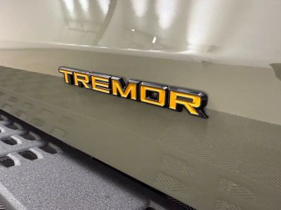 2025 Ford Expedition Tremor SUV V6 - Photo 38