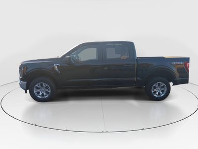 2023 Ford F-150 — interior view