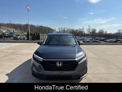 2025 Honda CR-V EX-L 2WD - Photo 3