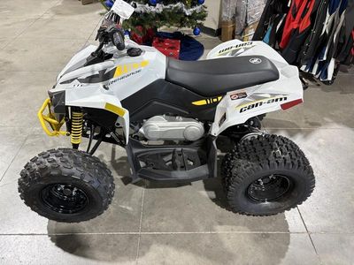 2026 Can-Am Renegade 110 EFI - Photo 9