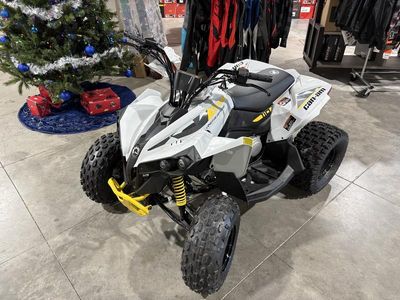 2026 Can-Am Renegade 110 EFI - Photo 4
