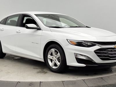 2024 Chevrolet Malibu - Photo 3
