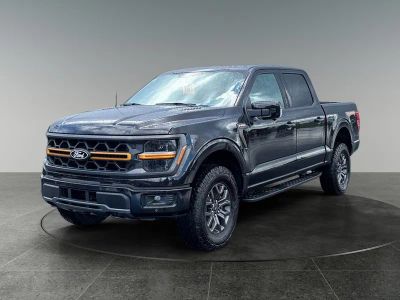 2026 Ford F-150 — rear three-quarter view